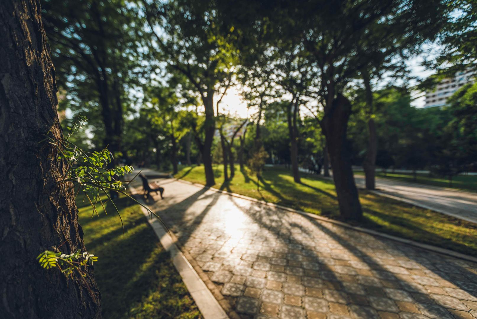 🌿📸 ¡Únete al City Nature Challenge 2026! 🐝🌸
