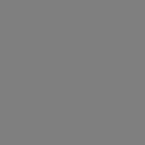 Amphisbaenia