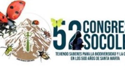 🪲🌿 ¿Sabías que los escarabajos de las hojas esconden una enorme diversidad que apenas empezamos a descubrir?