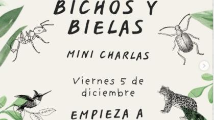 🌿🪲 ¡Regresan las mini charlas de Bichos y Bielas! 🐜🚴‍♀️