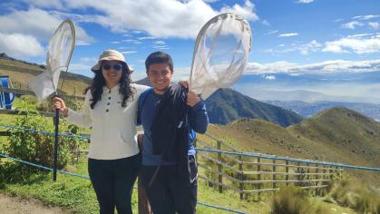 🌼🐝 ¡Explorando el mundo secreto de los abejorros andinos! 🏔️🔬