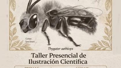 🌿✨ Taller Presencial de Ilustración Científica ✨🌿