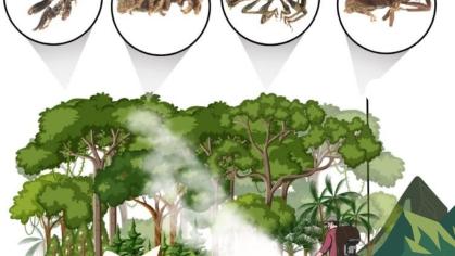🌿🪲 ¡Nueva publicación científica!