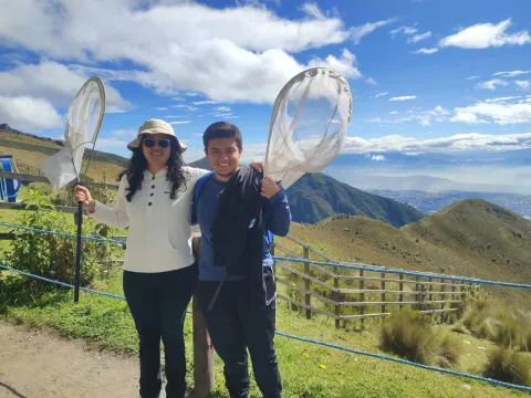 🌼🐝 ¡Explorando el mundo secreto de los abejorros andinos! 🏔️🔬