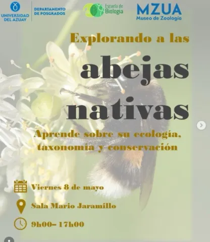 🐝 **Explorando a las abejas nativas** 🌼